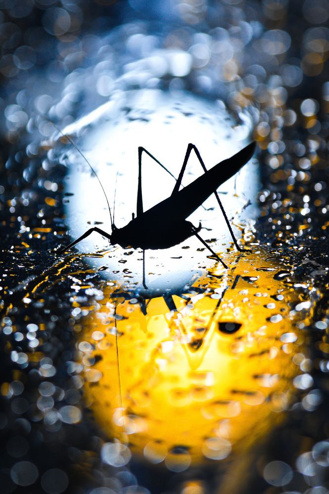 Photograph by Jerry Tsang