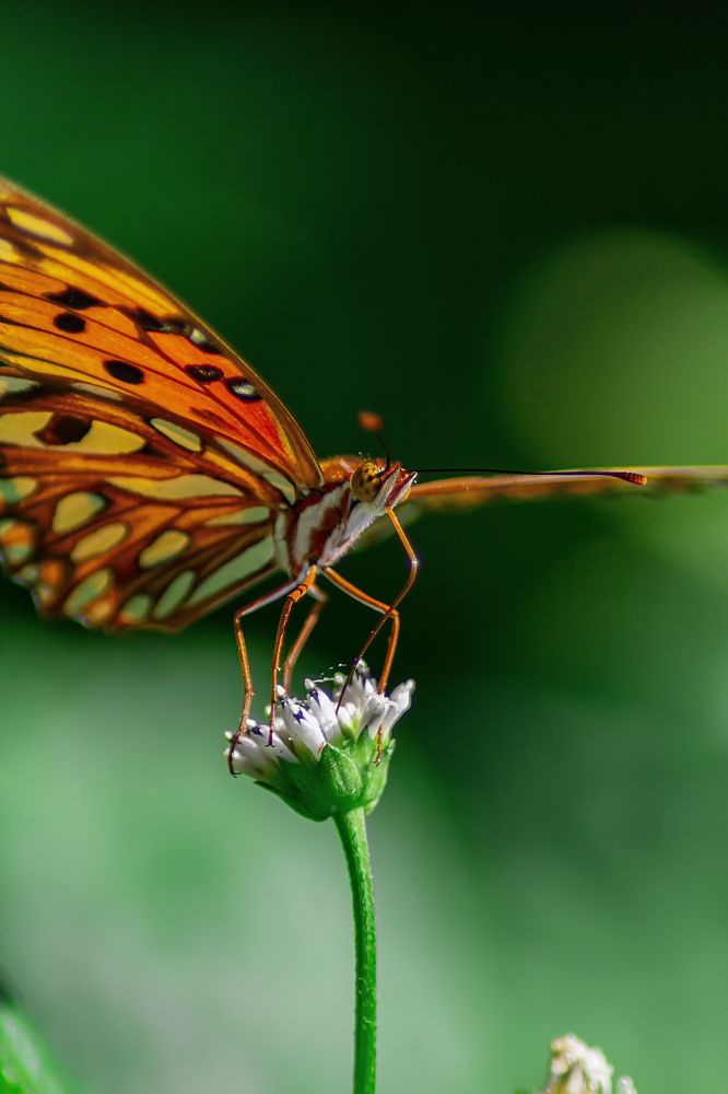 Photograph by Marcial Comerón