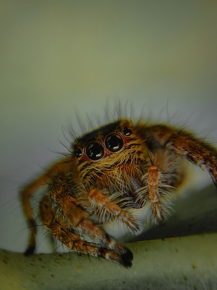 Photograph by Venkatesh r Kamath