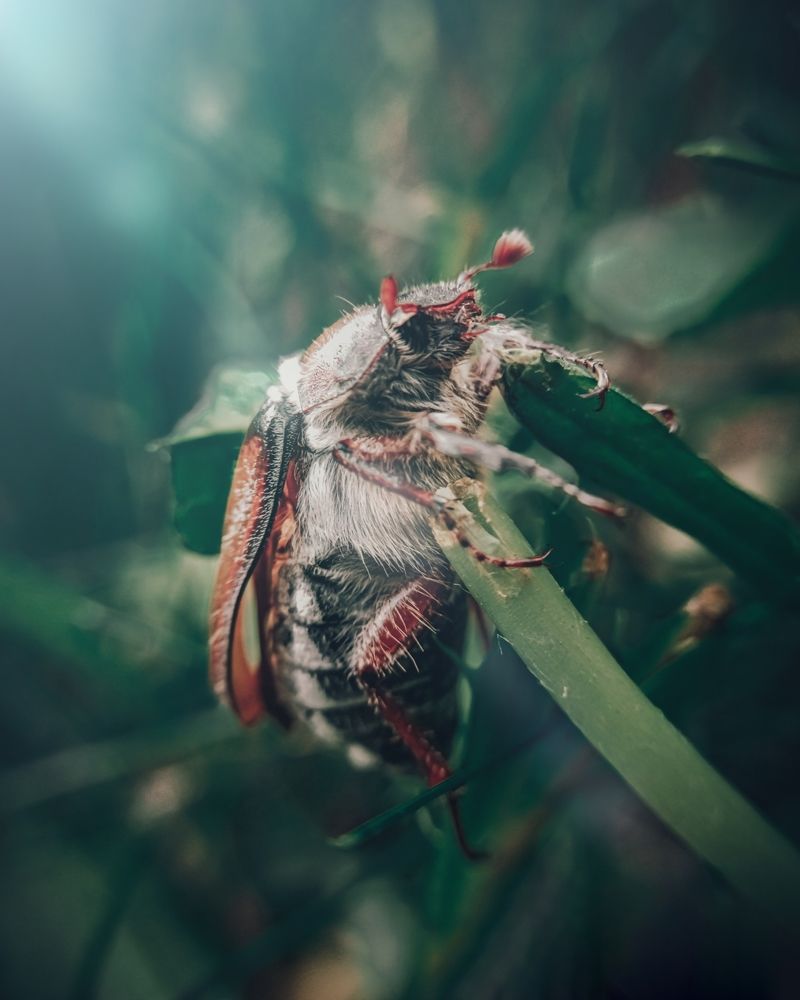 Photograph by Денис Шамров