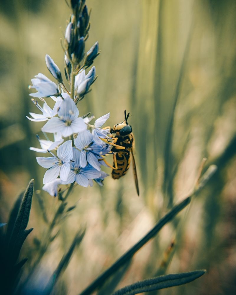 Photograph by Денис Шамров