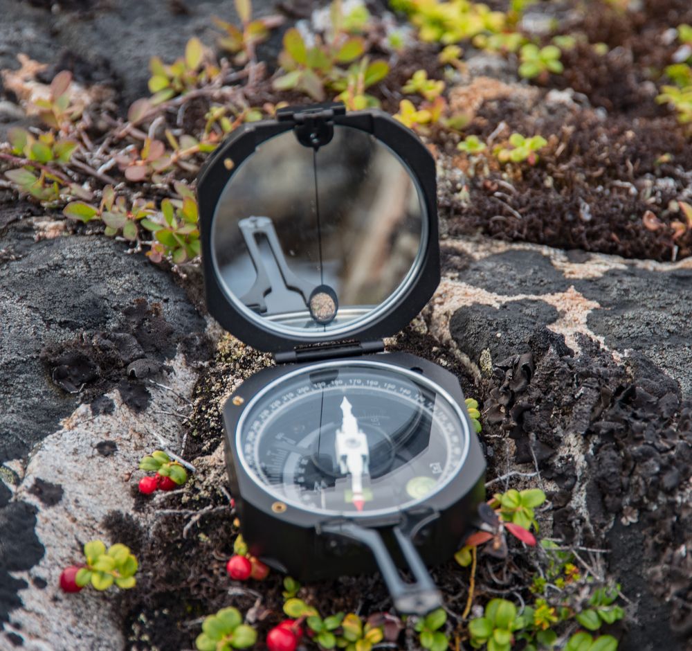 Photograph by Николаева Светлана