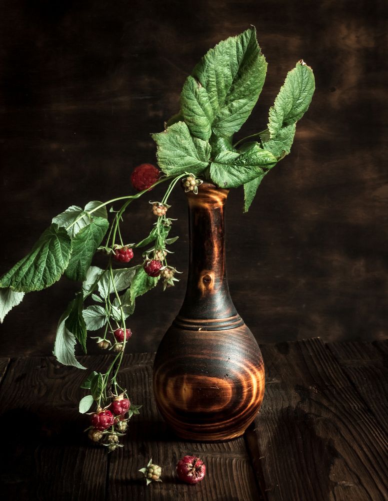 Фотография автора Наталья Соболь