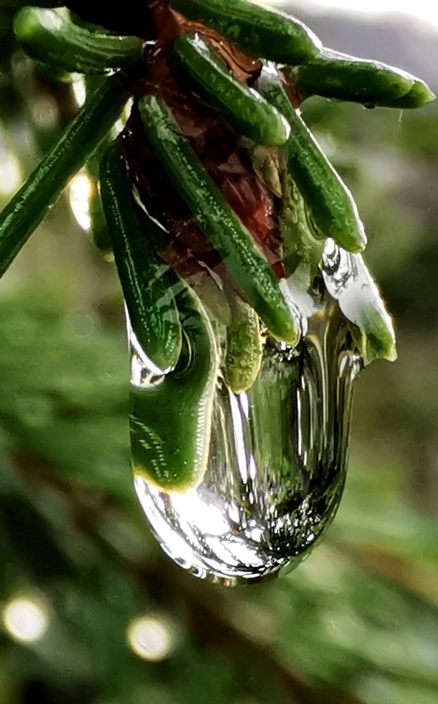 Photograph by Елена Артёменко