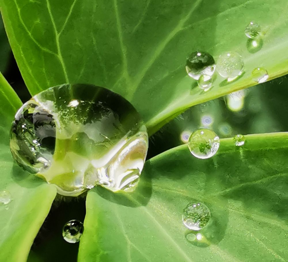 Photograph by Елена Артёменко