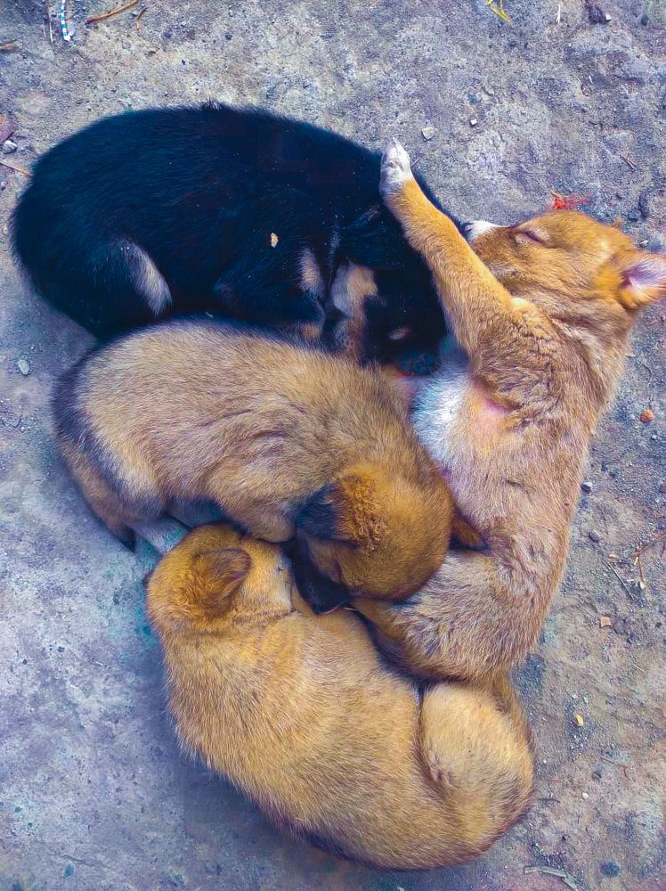 Photograph by Mohsin Rashid