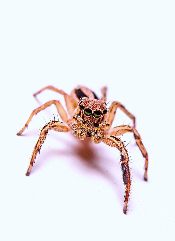 Photograph by Yusuf Buchari