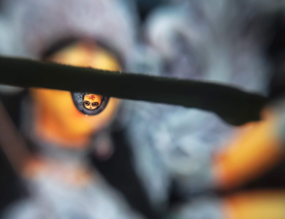 Фотография автора Priya Ojha