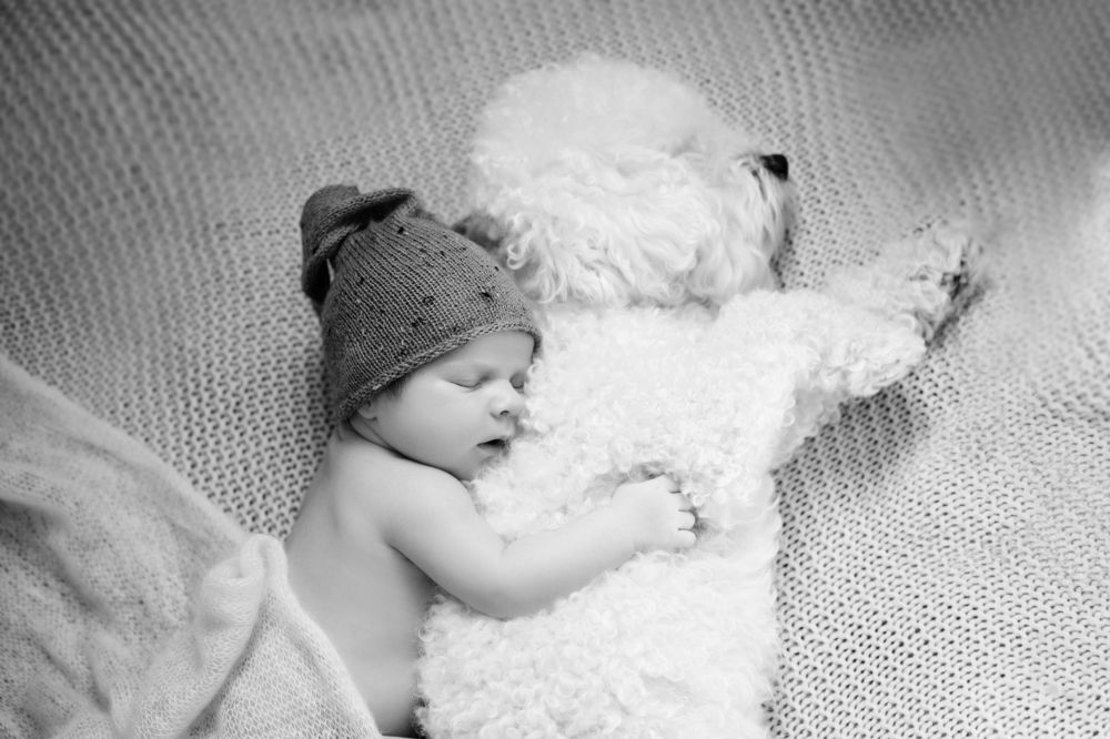 Фотография автора Светлана Сергеевна Абрамян