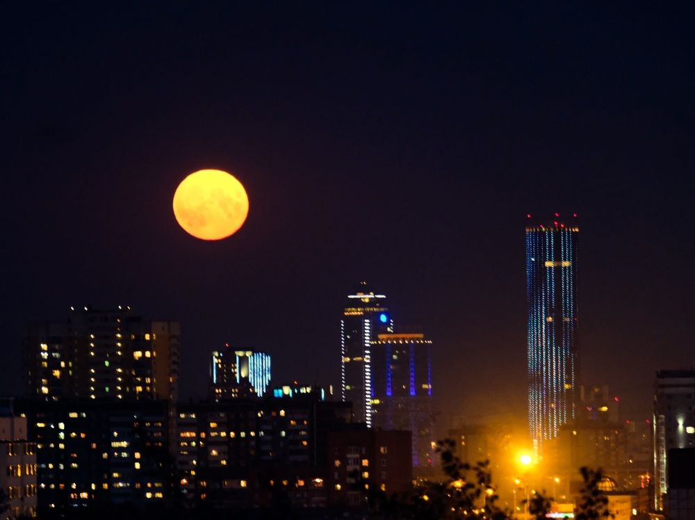 Photograph by Елена Рянцева