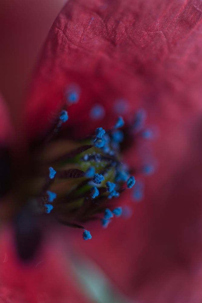 Photograph by Ольга Петухова