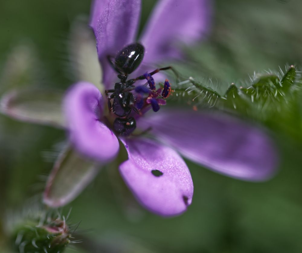 Photograph by Ольга Петухова