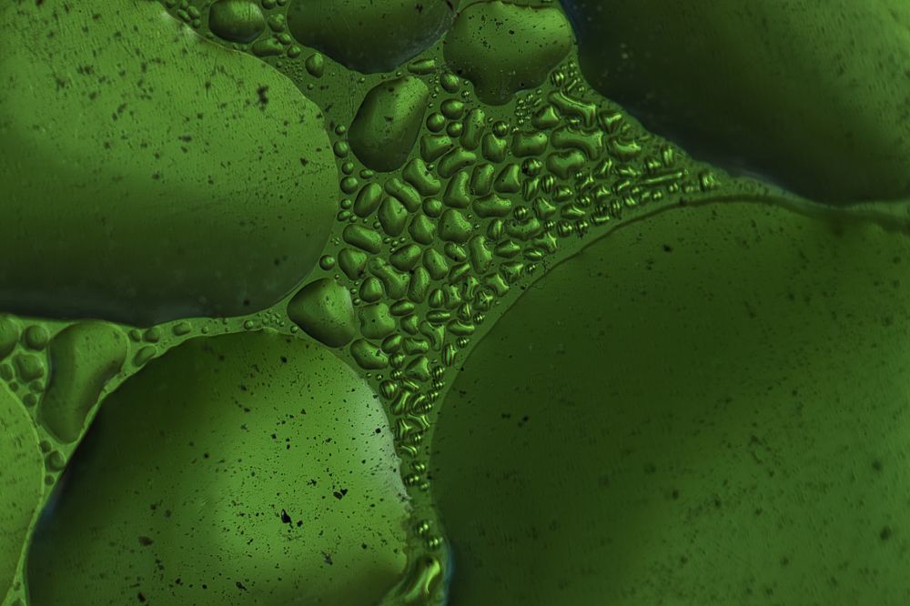 Photograph by Ольга Петухова