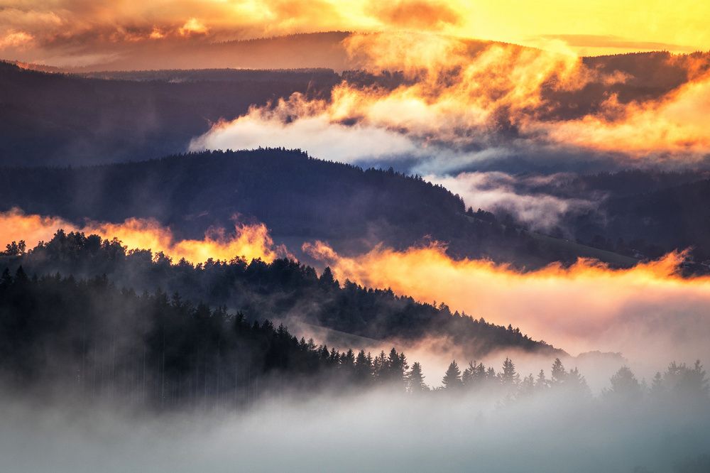 Photograph by Denisa Albaniová