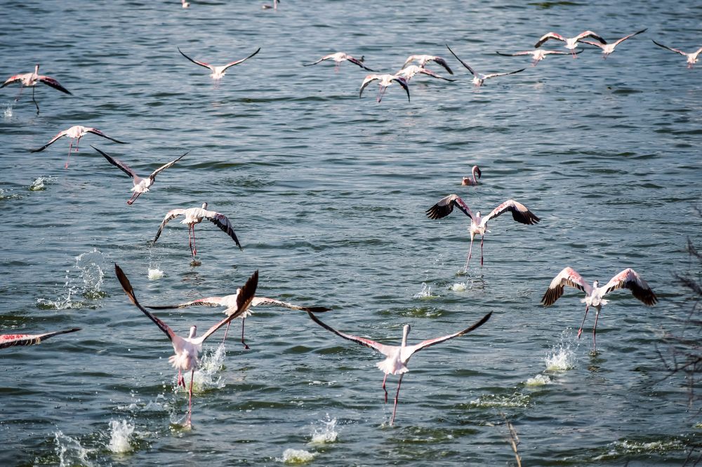 Photograph by Mondohong MOUZOU