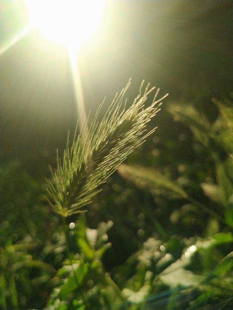 Photograph by Elishaya Muntean