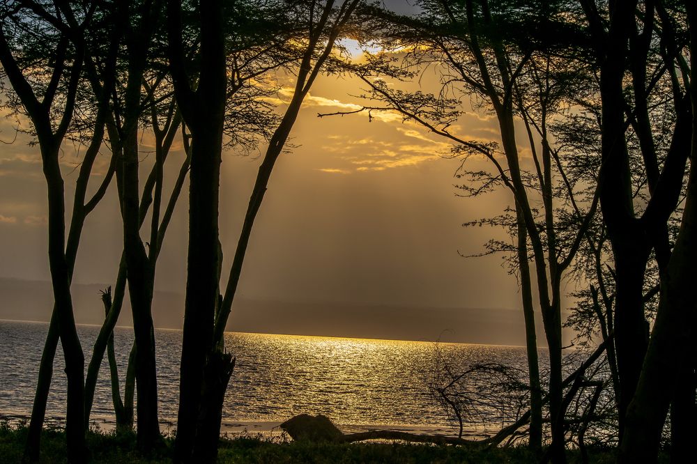 Photograph by Mondohong MOUZOU