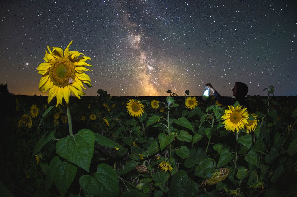 Звёздный след