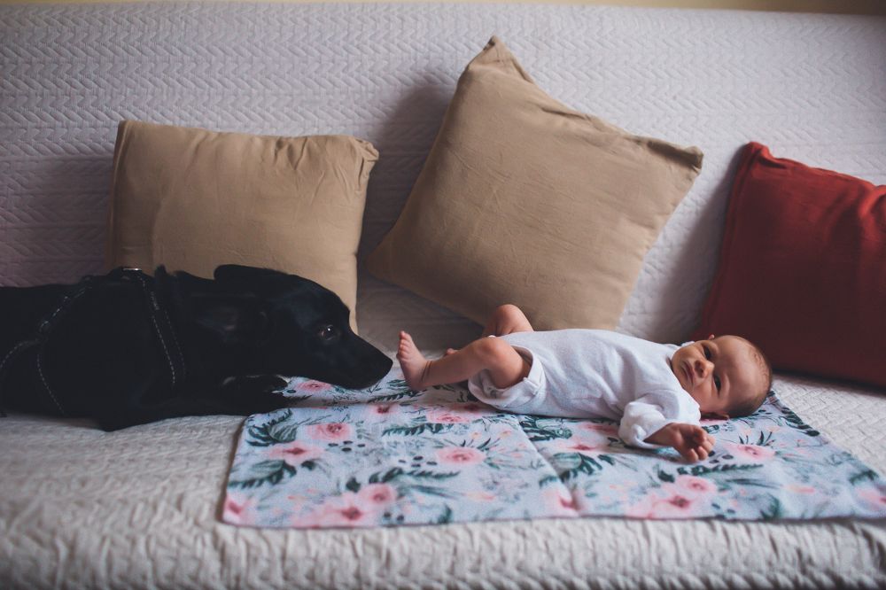 Photograph by Татьяна Сафонова