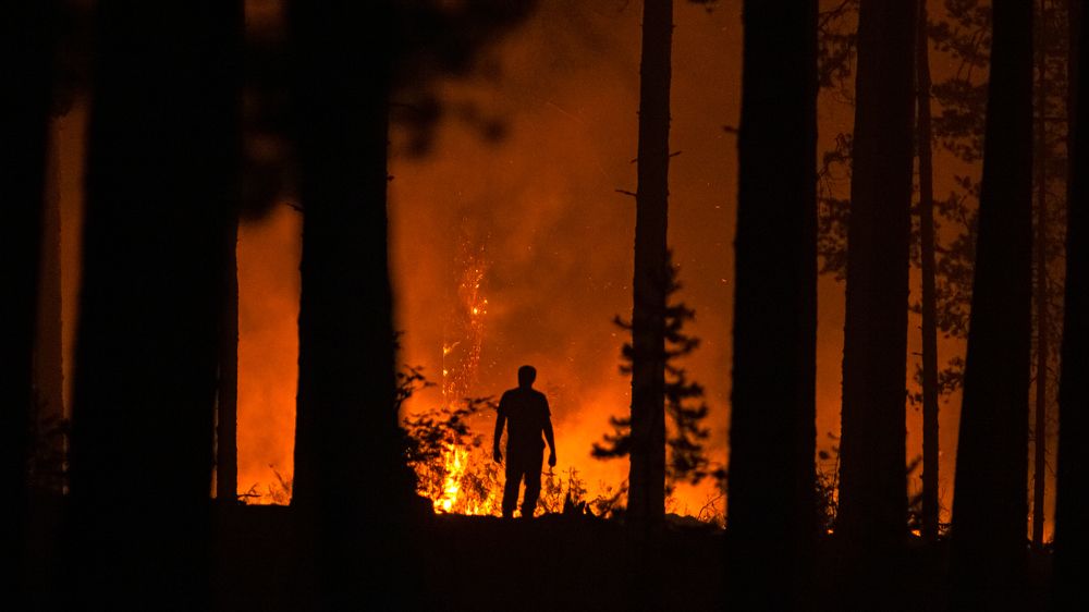 Photograph by Константин Ложеницын