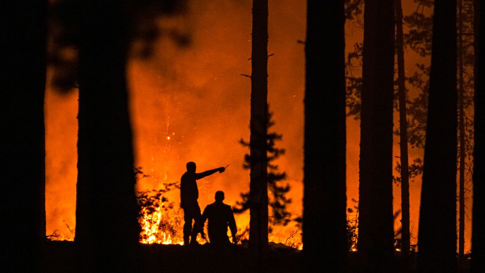 Photograph by Константин Ложеницын