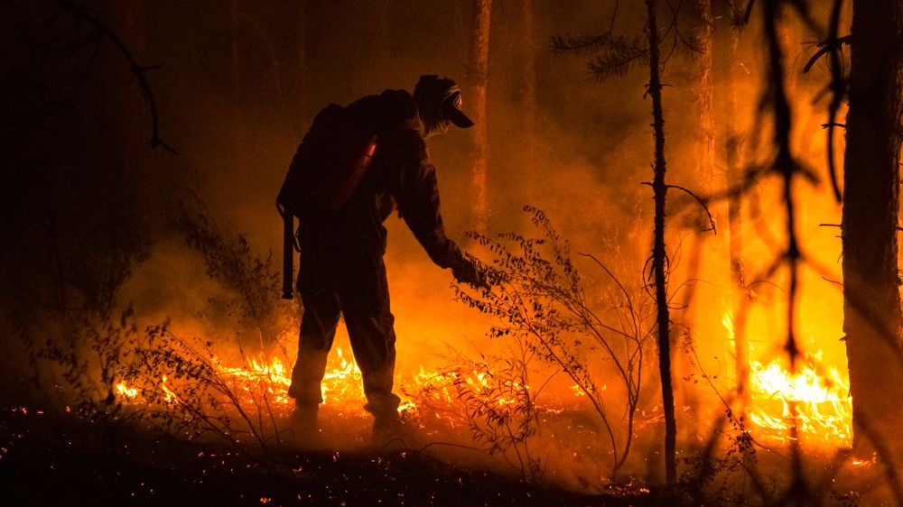 Photograph by Константин Ложеницын