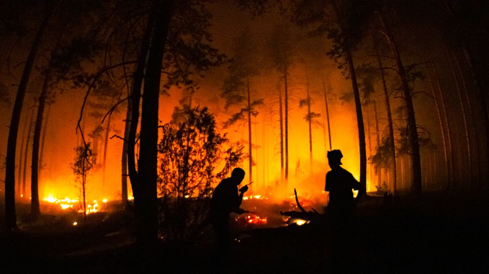 Photograph by Константин Ложеницын