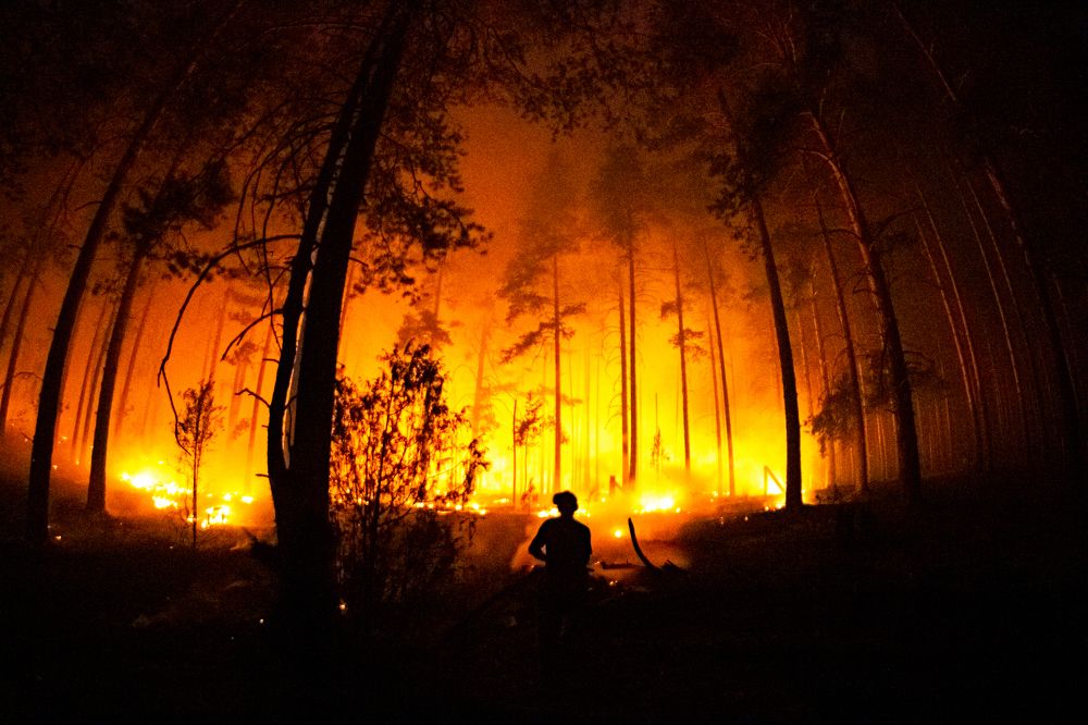 Photograph by Константин Ложеницын