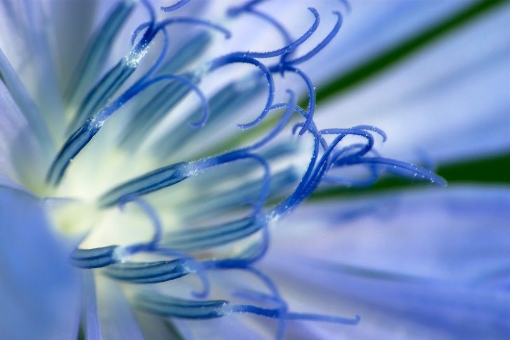 Photograph by Berezvai László