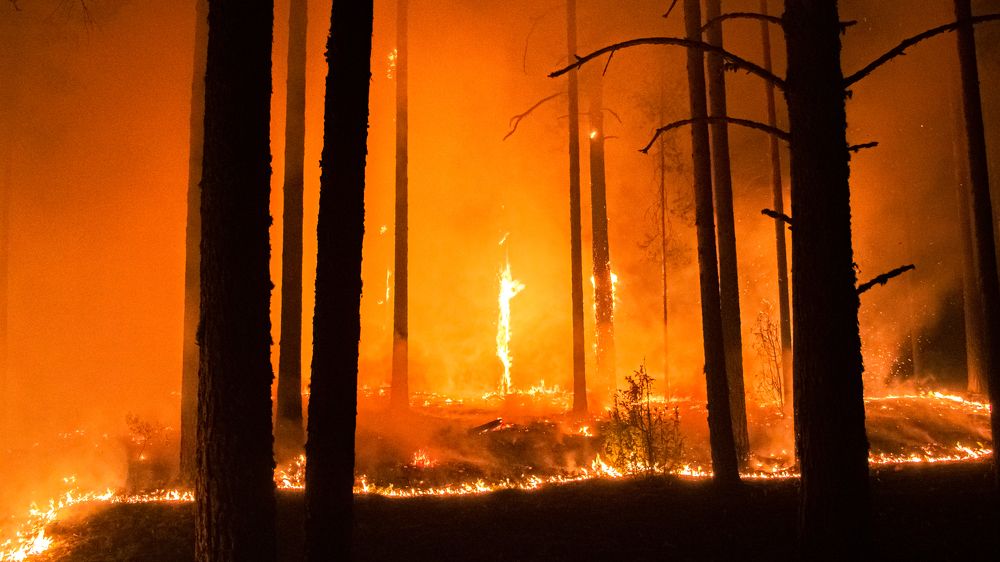 Photograph by Константин Ложеницын