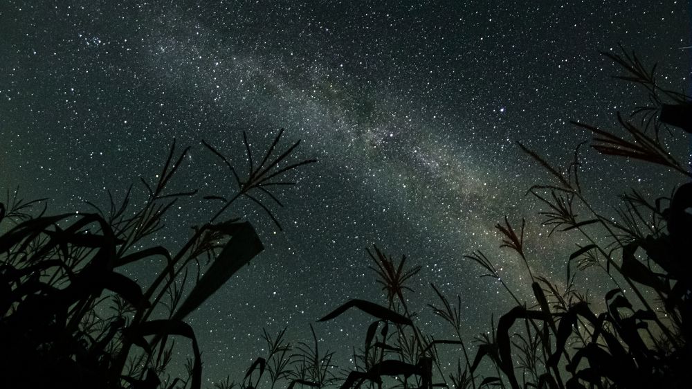 Photograph by Константин Ложеницын