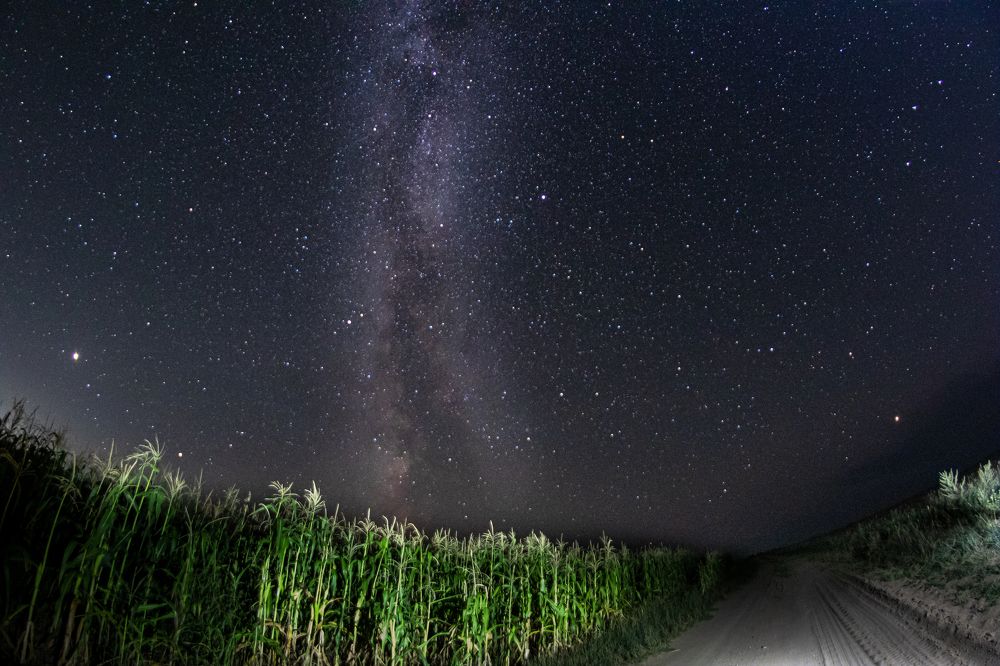 Photograph by Константин Ложеницын