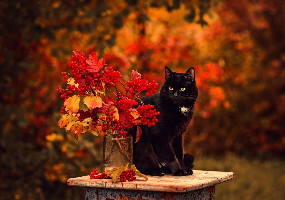 Photograph by Олеся Владимирова