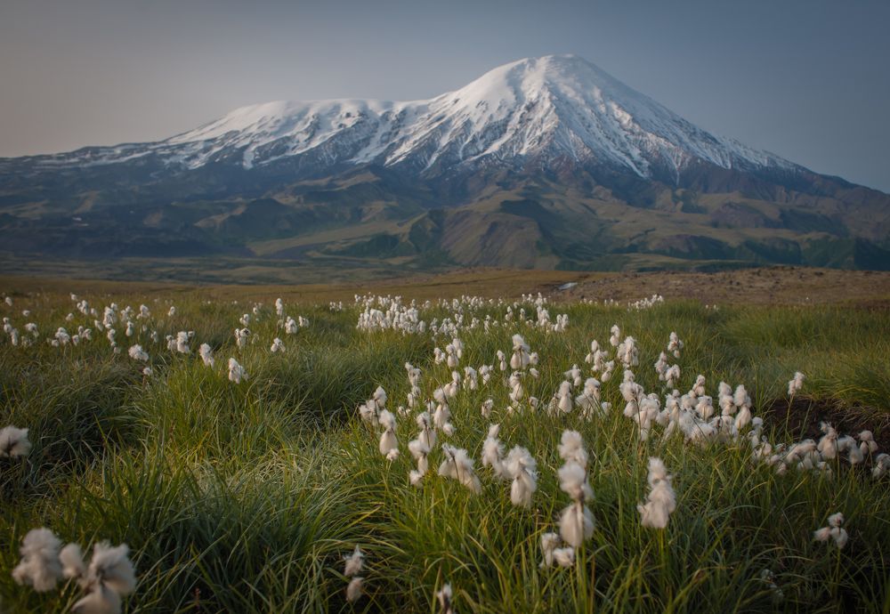 Безмятежность