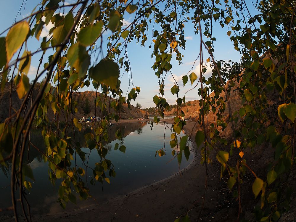 Фотография автора Елена Бурцева