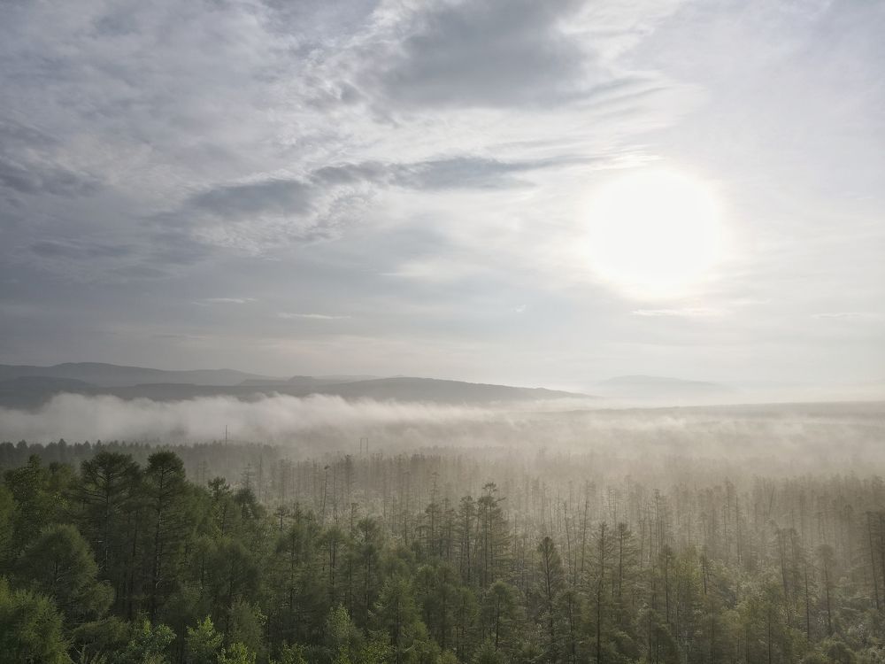 Photograph by Алексей Зайцев