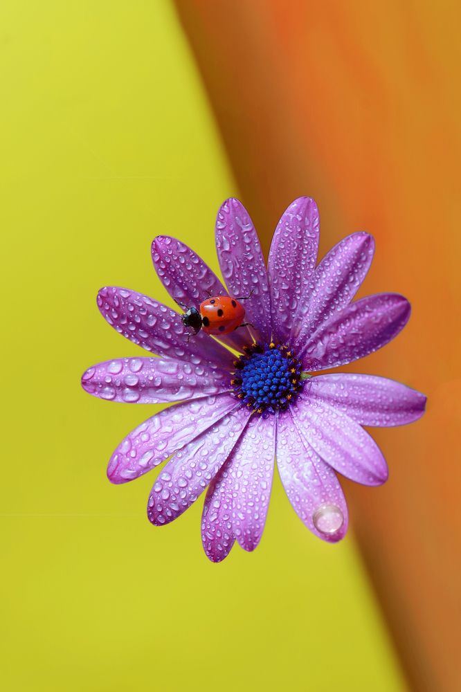 Photograph by boutaiba naoui