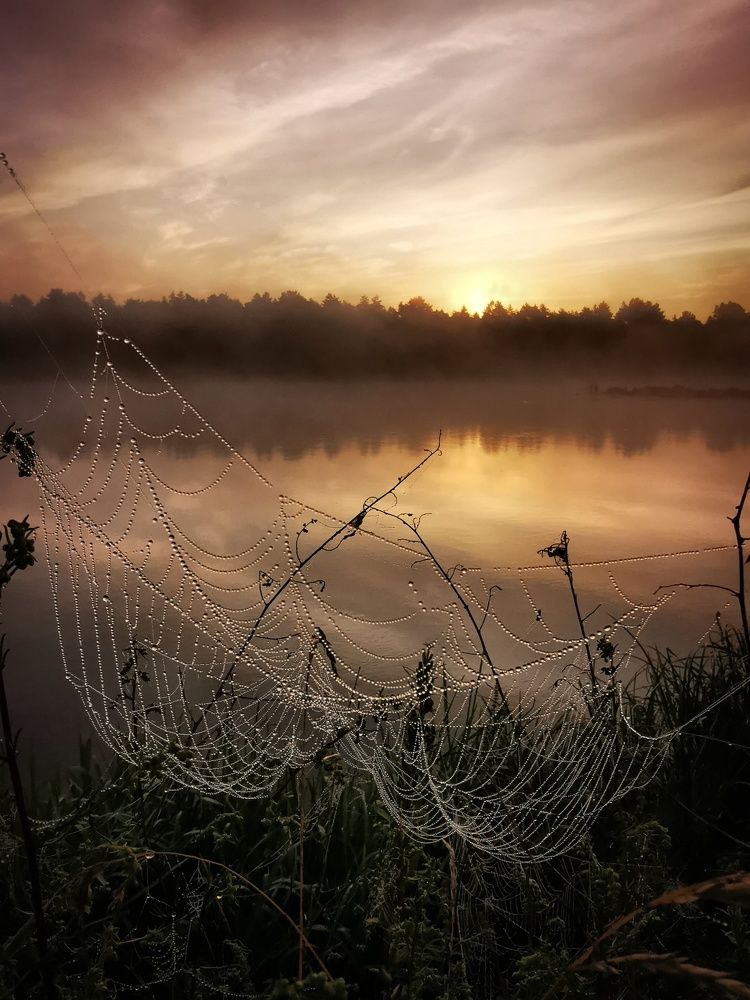 Photograph by Горбова Юлия