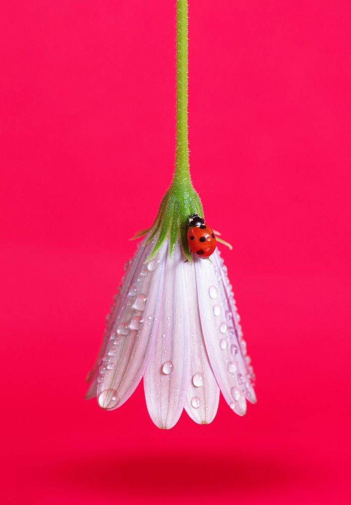 Photograph by boutaiba naoui