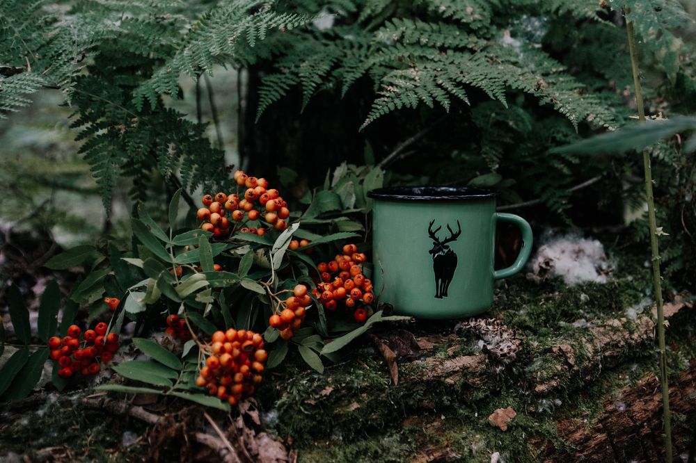 Photograph by Астафьева Ирина