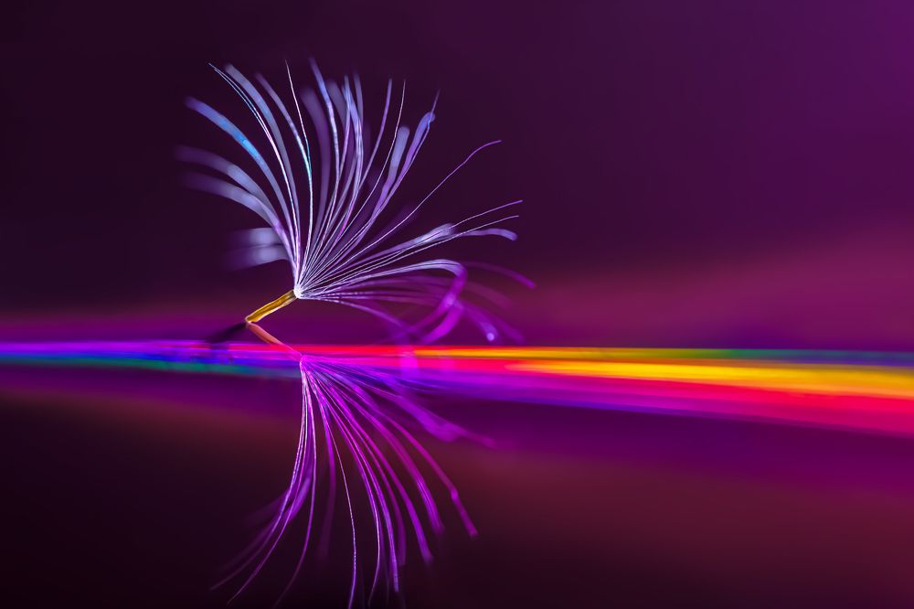 Photograph by Ольга Ильина