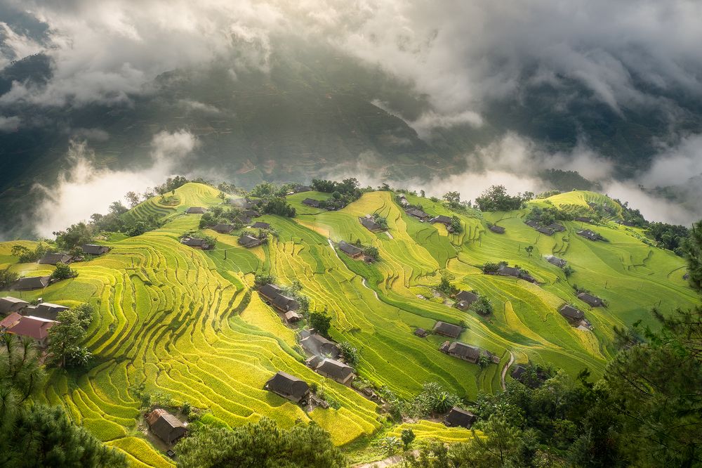 Photograph by Cao Tuan