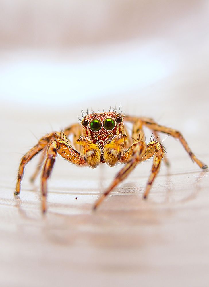 Photograph by Yusuf Buchari