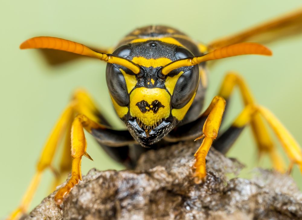 Фотография автора stéphane gonzalez