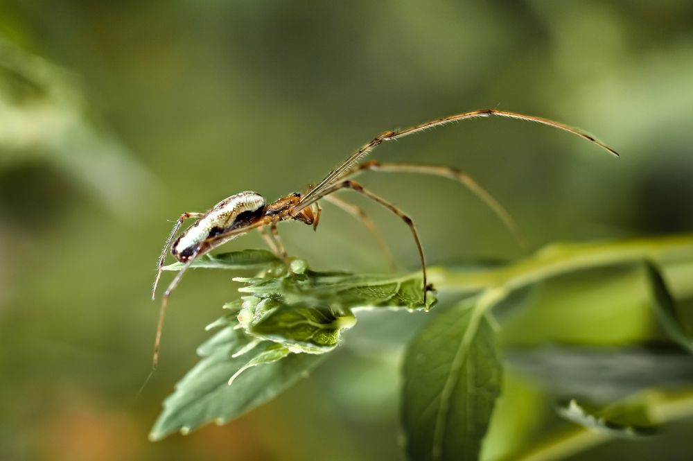 Photograph by Ирина Авельви