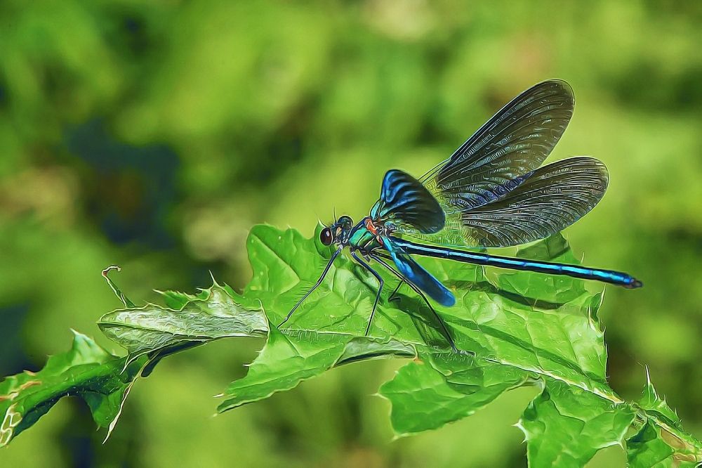 японская красотка