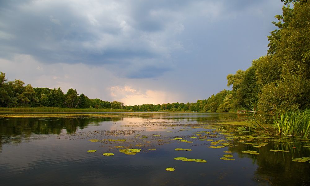 Photograph by Вячеслав Кровопусков