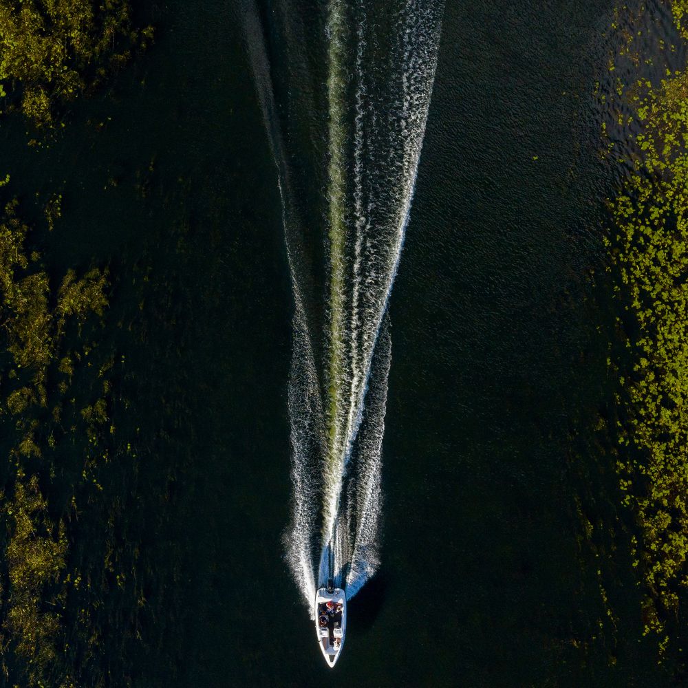 Выстрел в природу