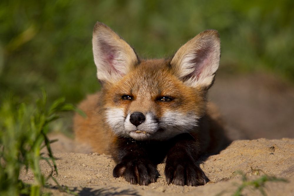 Photograph by Валерий Черняк