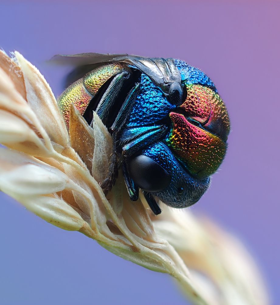 Photograph by Евгений Лукашук